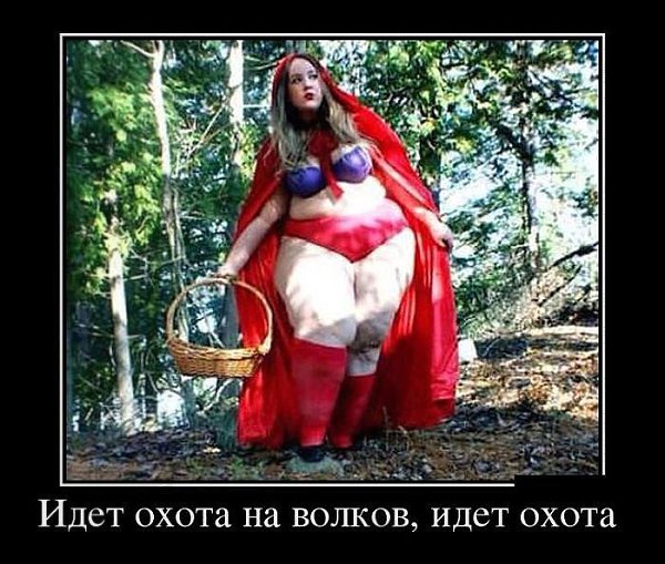 ������� - 20 ������� 2015 � 17:31