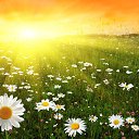 ���� Lana, ������ - ��������� 13 ������ 2015 � ������ ���� ����������