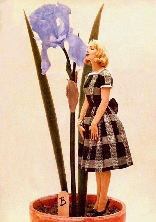    ,            ... - 4