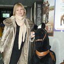 ���� �������, ��������� - ��������� 22 ������� 2014