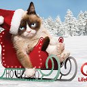 ���� ������ ������, ����, 75 ��� - ��������� 31 ������� 2014 � ������ ������ ��������