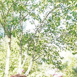 ���� �������, ������, 48 ��� - ��������� 12 ������ 2015