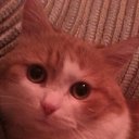 ���� ��������, ������������, 59 ��� - ��������� 1 ������ 2015 � ������ ������ ��������