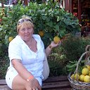 ���� �������, ���������, 58 ��� - ��������� 17 ������� 2015