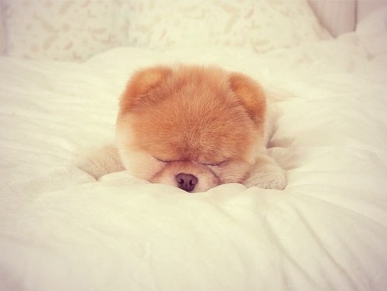   |  |  - 11  2015  15:20 - 5