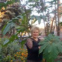 ���� �������, ��������� - ��������� 25 ����� 2015 � ������ ���� ����������