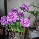 ���� ������, ������ - ��������� 20 ������ 2015 � ������ ������ ��������