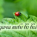 ���� ����, ������ ��������, 64 ���� - ��������� 14 ����� 2015 � ������ �������� ��������