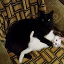 ���� �������, ������-��-���� - ��������� 28 ������ 2015 � ������ �׸���-����� �������� �������!�