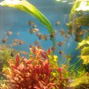 ���� �����, ������, 53 ���� - ��������� 20 ����� 2015 � ������ ������ ��������