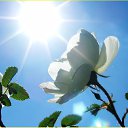 ���� ������, ���� - ��������� 6 ������ 2015 � ������ ������ ��������