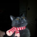 ���� ������, ������ - ��������� 21 ����� 2015 � ������ ���� ������!!!�