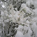 ���� �������, ������, 56 ��� - ��������� 20 ������ 2015 � ������ ���� ����