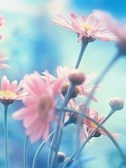    ,     ,       ... - 4