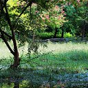 �������� 2014. �� ������� ������Ż