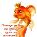 ���� Tatiana, ������ - ��������� 14 ������� 2015 � ������ �14�