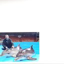 ���� ������, ���������, 59 ��� - ��������� 31 ������� 2014