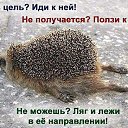 ���� C�����, �����-���������, 52 ���� - ��������� 28 ���� 2015 � ������ �������� �����