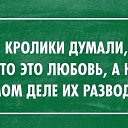 ���� ������, ���������, 52 ���� - ��������� 30 ��� 2015 � ������ ������ ��������