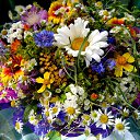 ���� ����, ������ - ��������� 23 ��� 2015