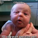 ���� �����, ������ - ��������� 27 ��� 2015 � ������ ���� ����������