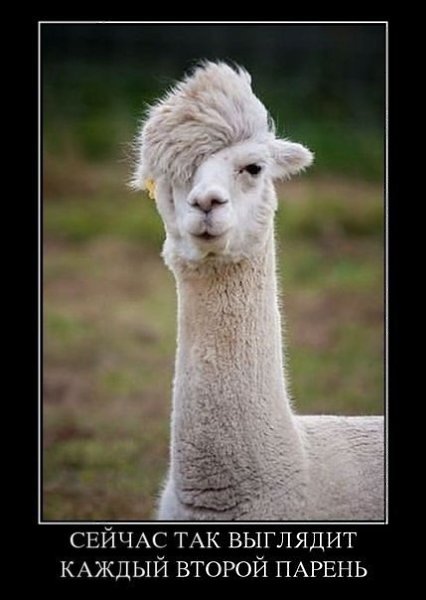 Art & Fun - 29  2015  08:31