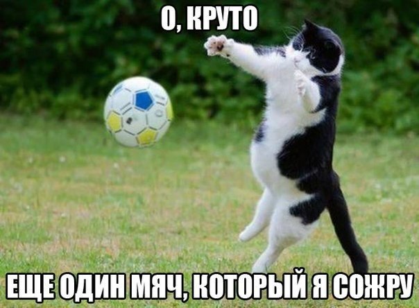 ������������ ���� - 23 ��� 2015 � 09:44