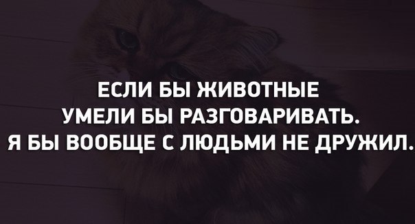    =)