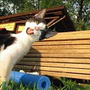 ���� Milolika, ������� - ��������� 19 ������� 2015 � ������ ���� ���... � ������ �����.))�
