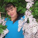 ���� ����, ����� - ��������� 1 ���� 2015 � ������ ���� ����������