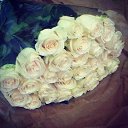 ���� �������, ��������, 39 ��� - ��������� 9 ������� 2015 � ������ ���� ����������