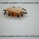 ���� �����, �����-��������� - ��������� 18 ���� 2015 � ������ ���� ����������