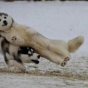 ���� �����, �����, 48 ��� - ��������� 1 ������� 2015 � ������ �2�