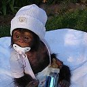  Irina, , 56  -  5  2015    