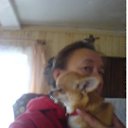 ���� �����, ���� - ��������� 22 ������ 2015 � ������ ���� ����������