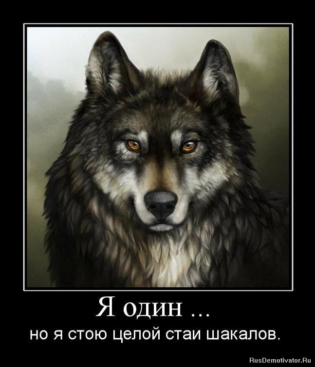 Я одинокий волк и в этом моя жизнь, Я не был изгнан - сам ушел когда то. И я один смотрю в ночную ...