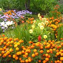 ���� ������, ������������ - ��������� 12 ������� 2015 � ������ ���� ����������