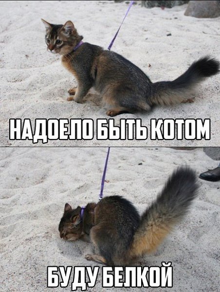      - 10  2015  17:05
