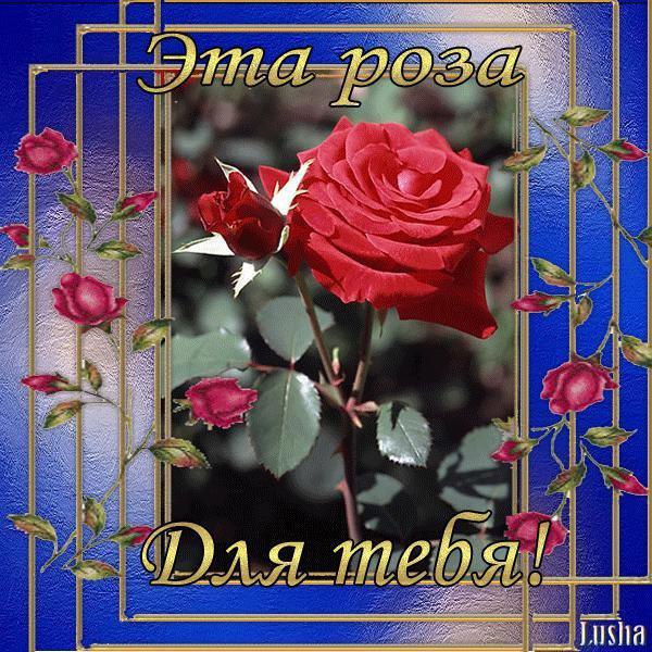 ~Dasha~ - 7  2015  08:47