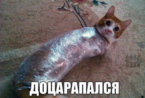 ������������ ���� - 29 ��� 2015 � 21:15
