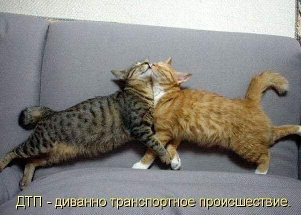    :-) - 6  2015  21:40