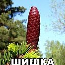 ���� ���������, ��������, 48 ��� - ��������� 18 ���� 2015 � ������ ������ ��������