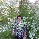 ���� �������, ����-�����������, 71 ��� - ��������� 13 ���� 2015