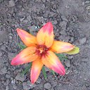 ���� Natali, ������ - ��������� 2 ���� 2015 � ������ ���� �������� 2015�