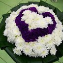 ���� ��������, �������� - ��������� 6 �������� 2015 � ������ ������ ��������