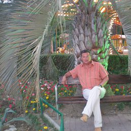 ���� Hfa, ���, 60 ��� - ��������� 20 ��� 2015