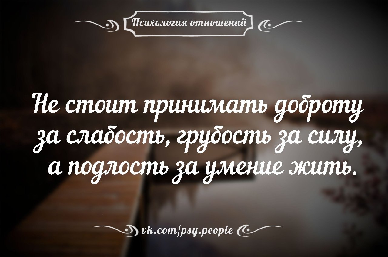 Высказывания про отношения. Фразы про отношения. Мудрые высказывания об отношениях. Афоризмы про отношения.