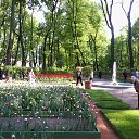  , - -  27  2015   &quot; &quot;  .