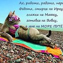 ���� ����, �����, 74 ���� - ��������� 6 �������� 2015 � ������ ������ ��������