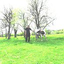 ���� Vladimir, ��������, 71 ��� - ��������� 16 ��� 2015 � ������ ���� ����������